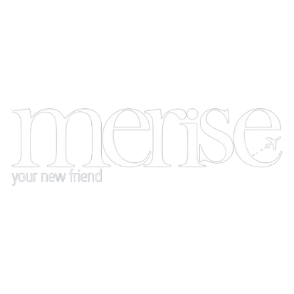 Logo de merise